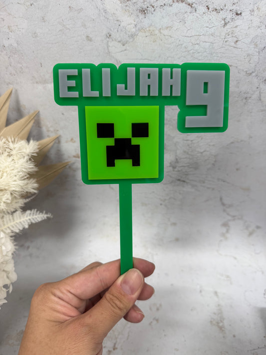 Minecraft Themed Cake Topper