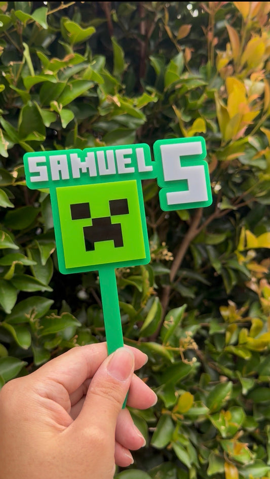 Minecraft Themed Cake Topper